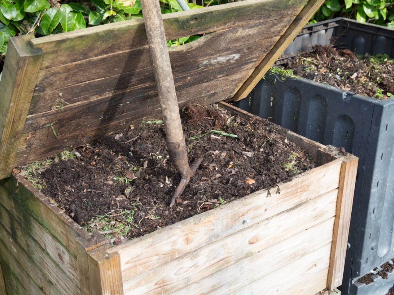 What To Compost What You Can Put In A Compost Bin Gardening Know How