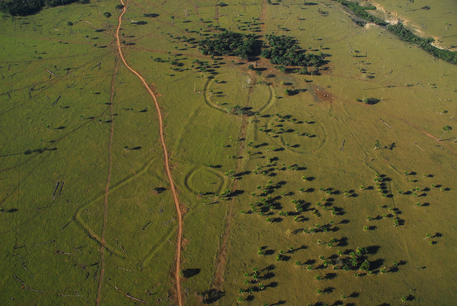 amazon geoglyphs