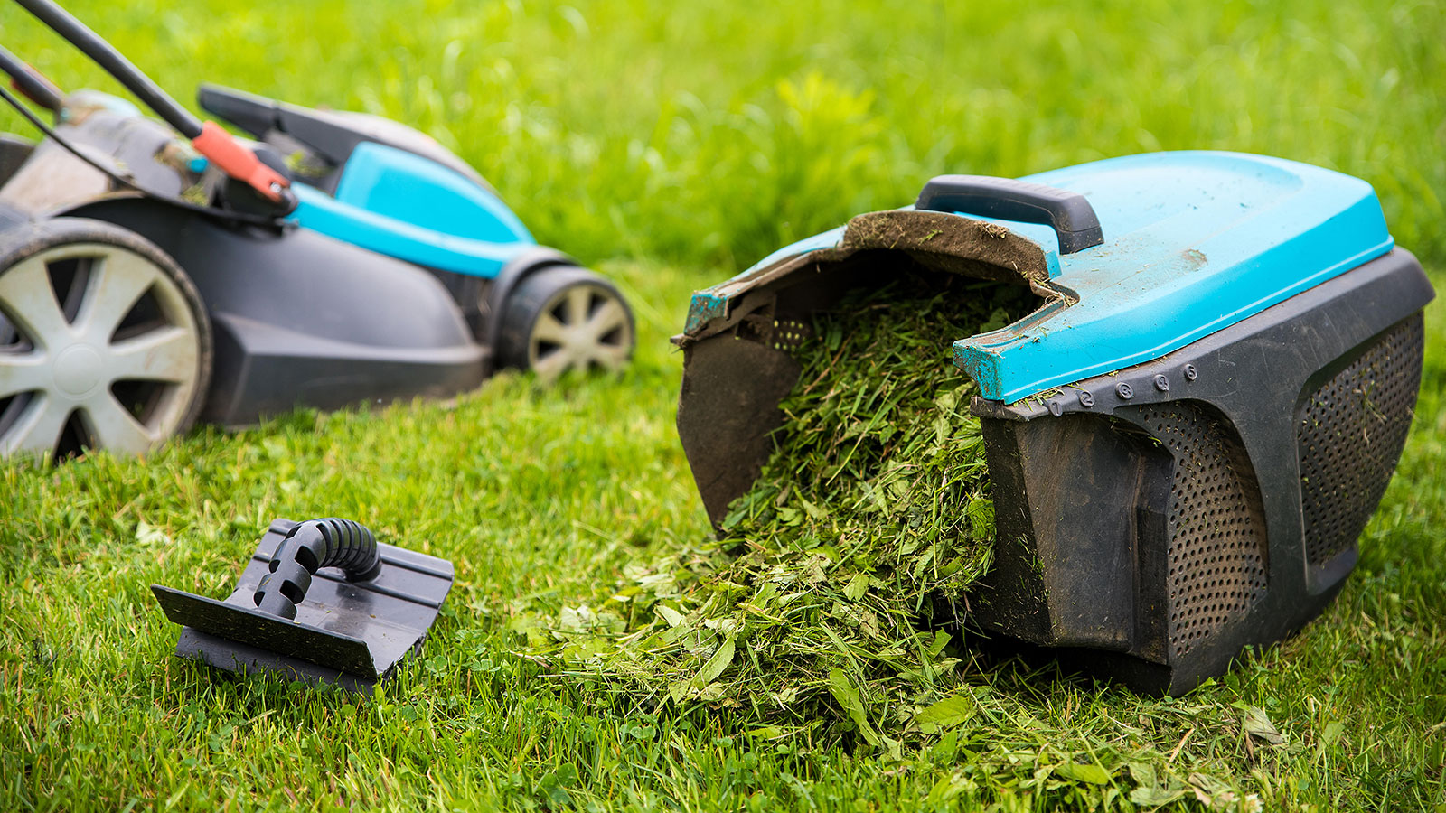 When is it antisocial to mow the lawn? Rules from experts Homes & Gardens