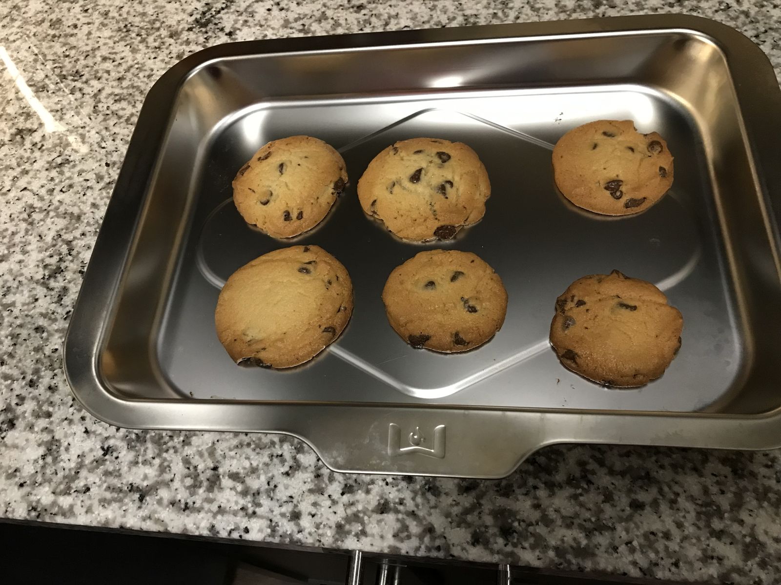 Wolf Gourmet Countertop Oven review: beautiful and durable | Homes