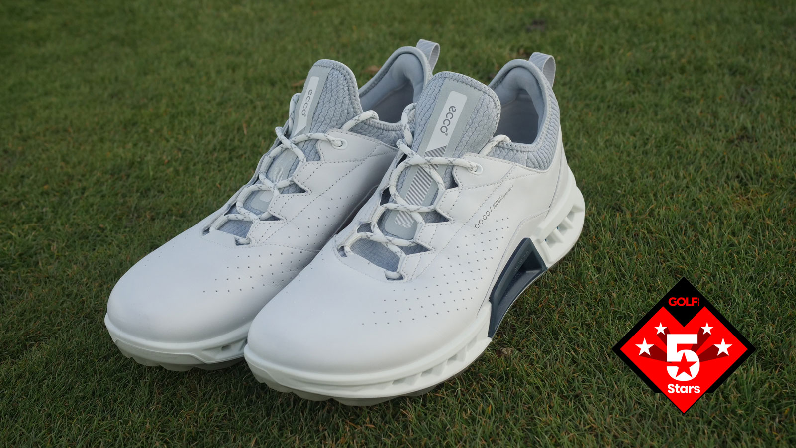 Ecco Biom C4 Review The Best Golf Shoe I've Ever Owned atelieryuwa