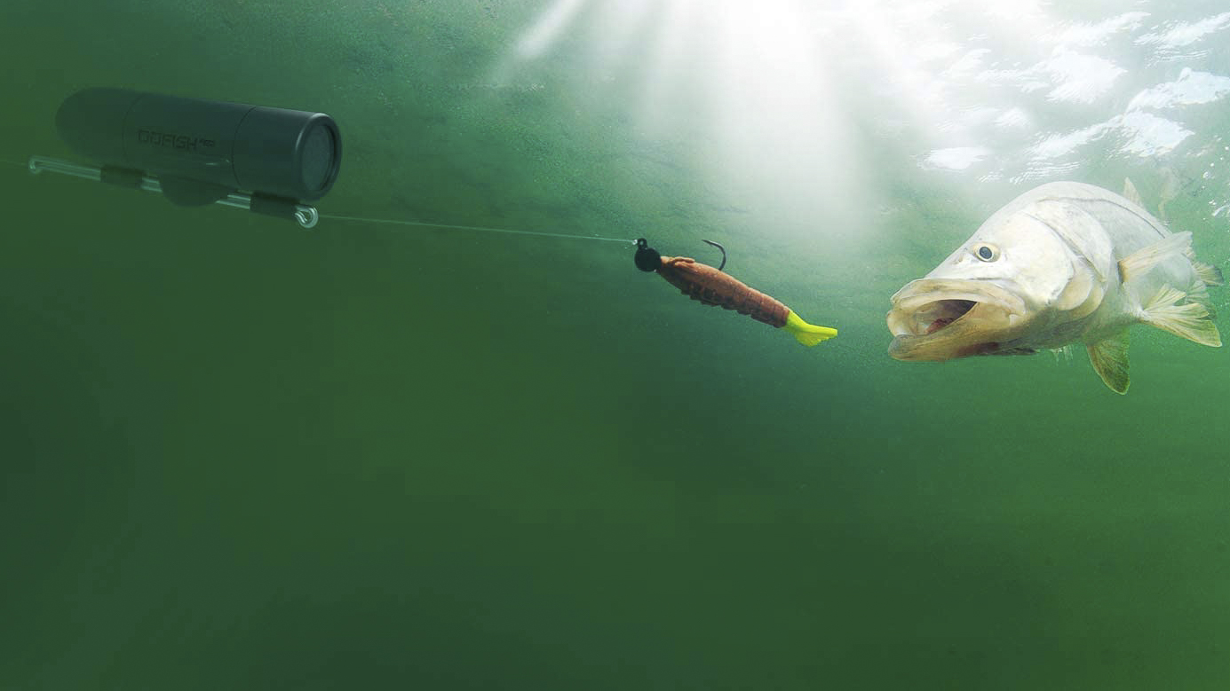 The best underwater fishing camera Digital Camera World