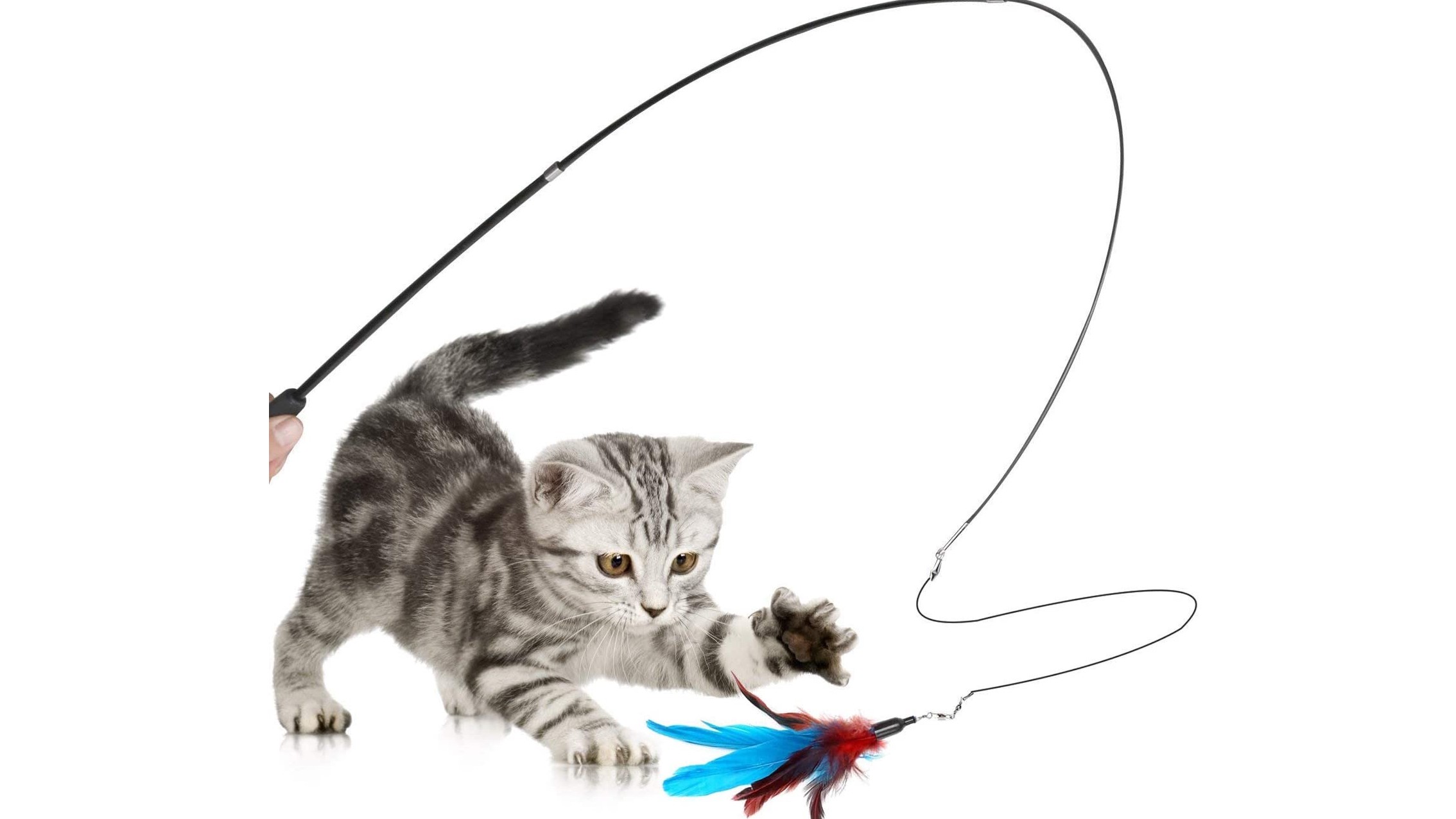 Best toys for indoor cats Six fun playthings for your kitty PetsRadar