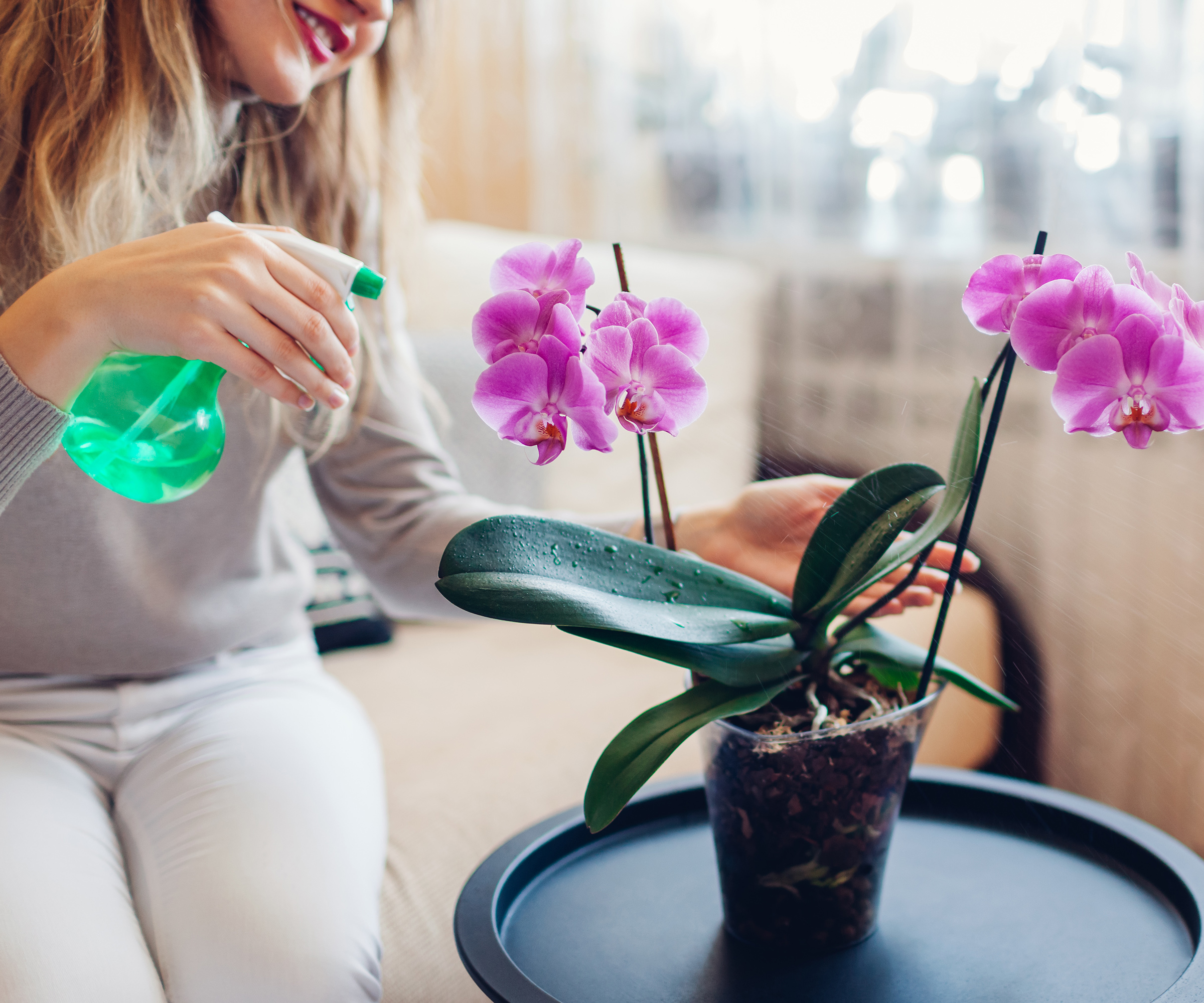 How to bring an orchid back to life after years of no blooms Homes