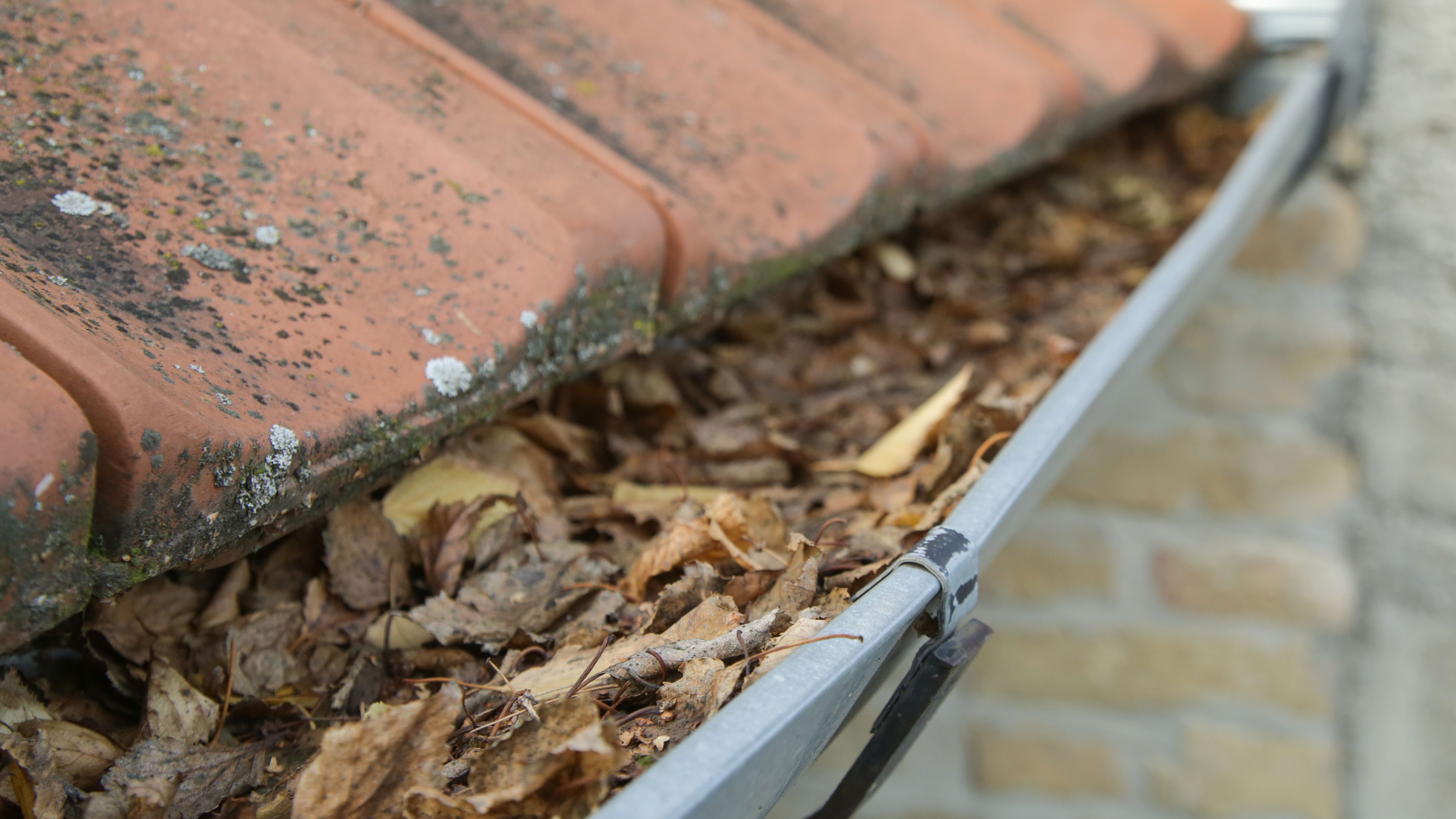 How much does gutter cleaning cost? Homebuilding