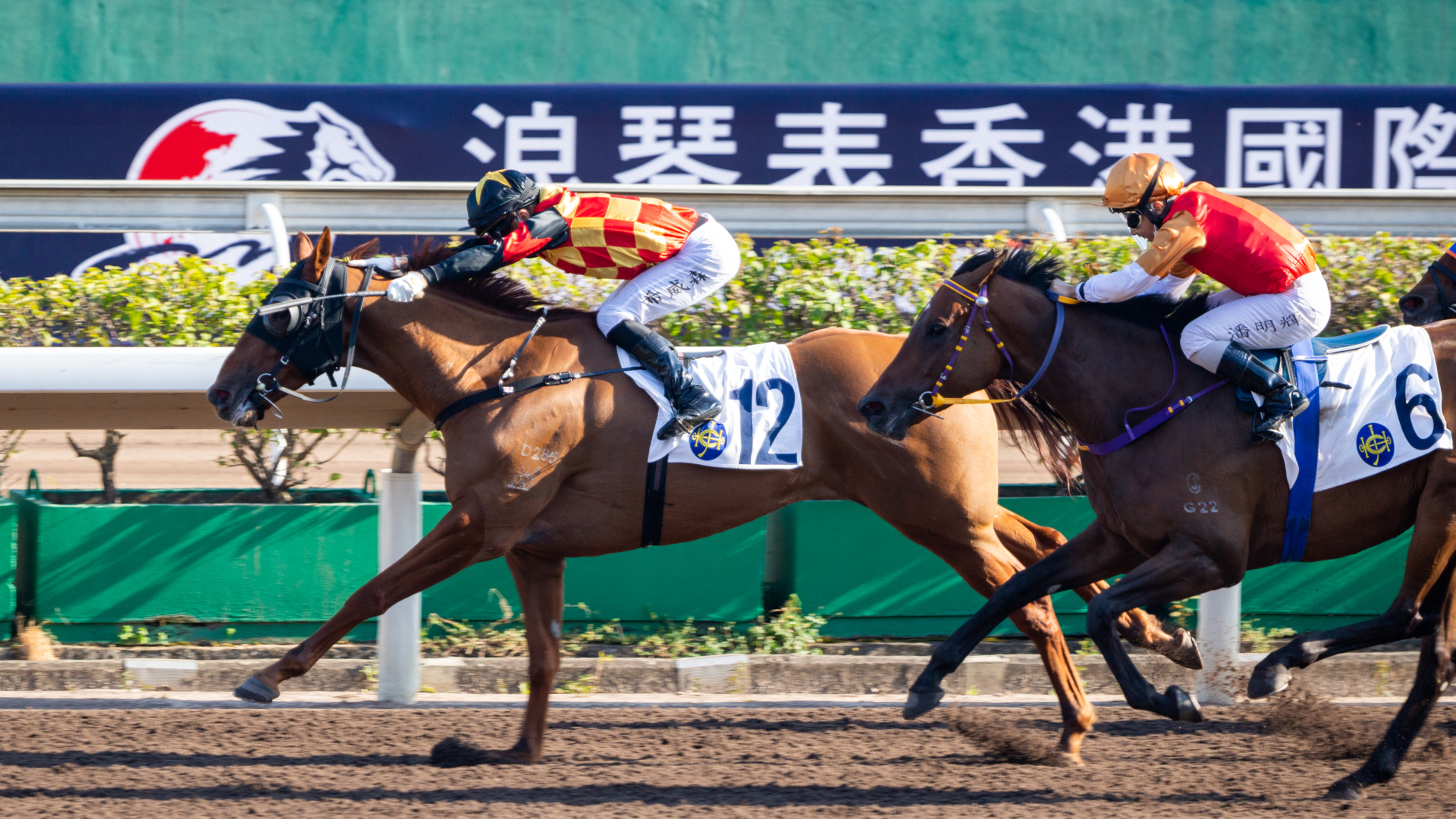 How to watch Hong Kong Cup 2021 and live stream from anywhere TechRadar