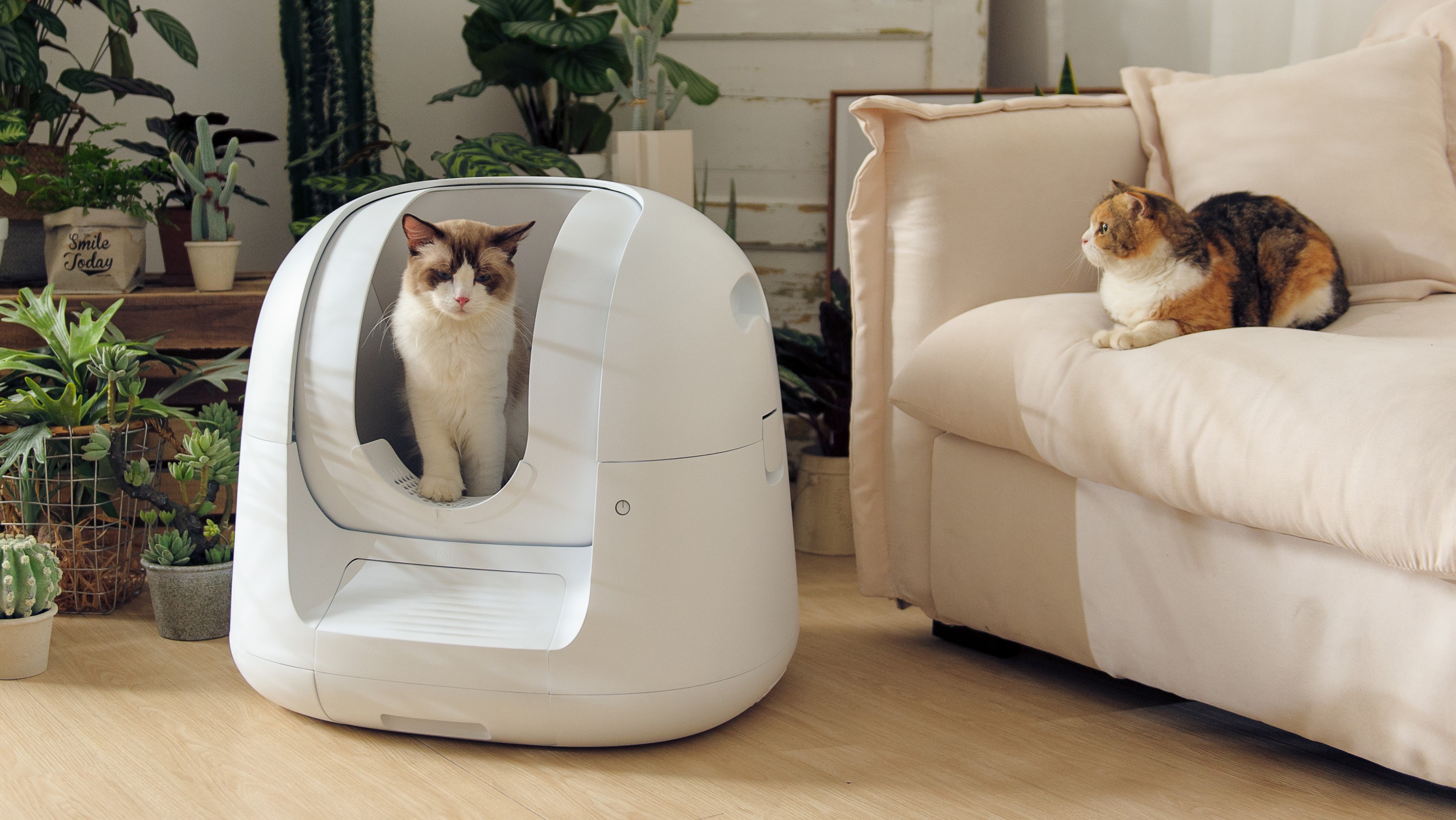 Robot Cat Litter Box Australia