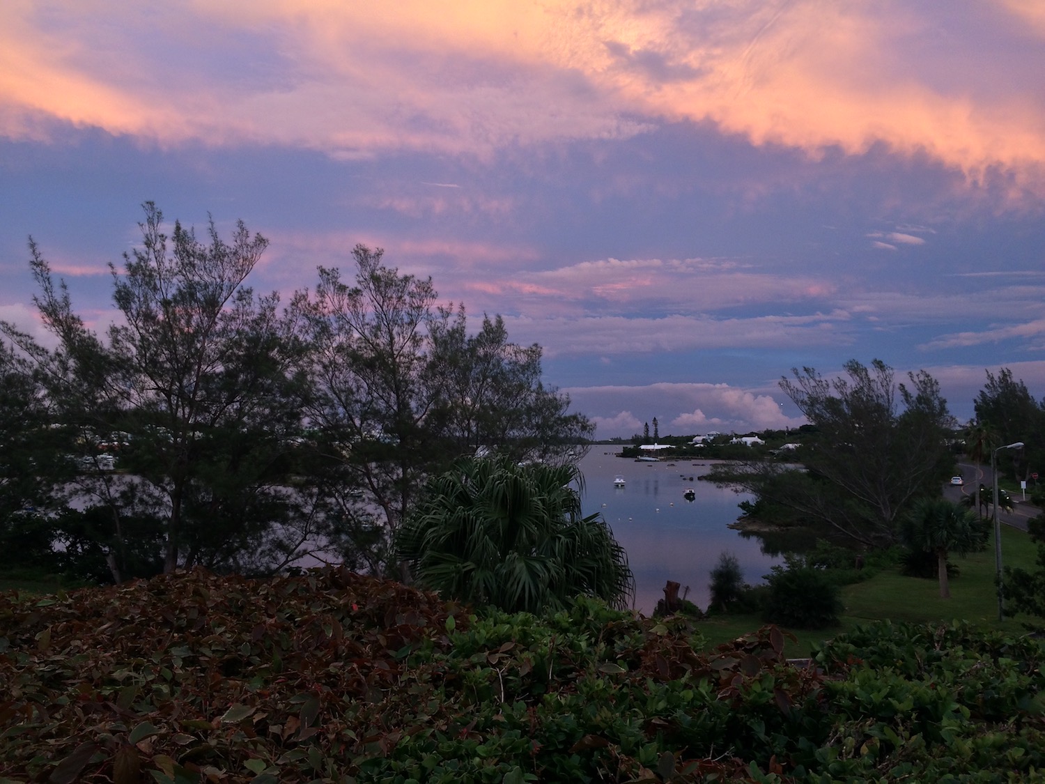 Researchers captured three female fireworms mid-mating from lovely Ferry Reach in Bermuda.