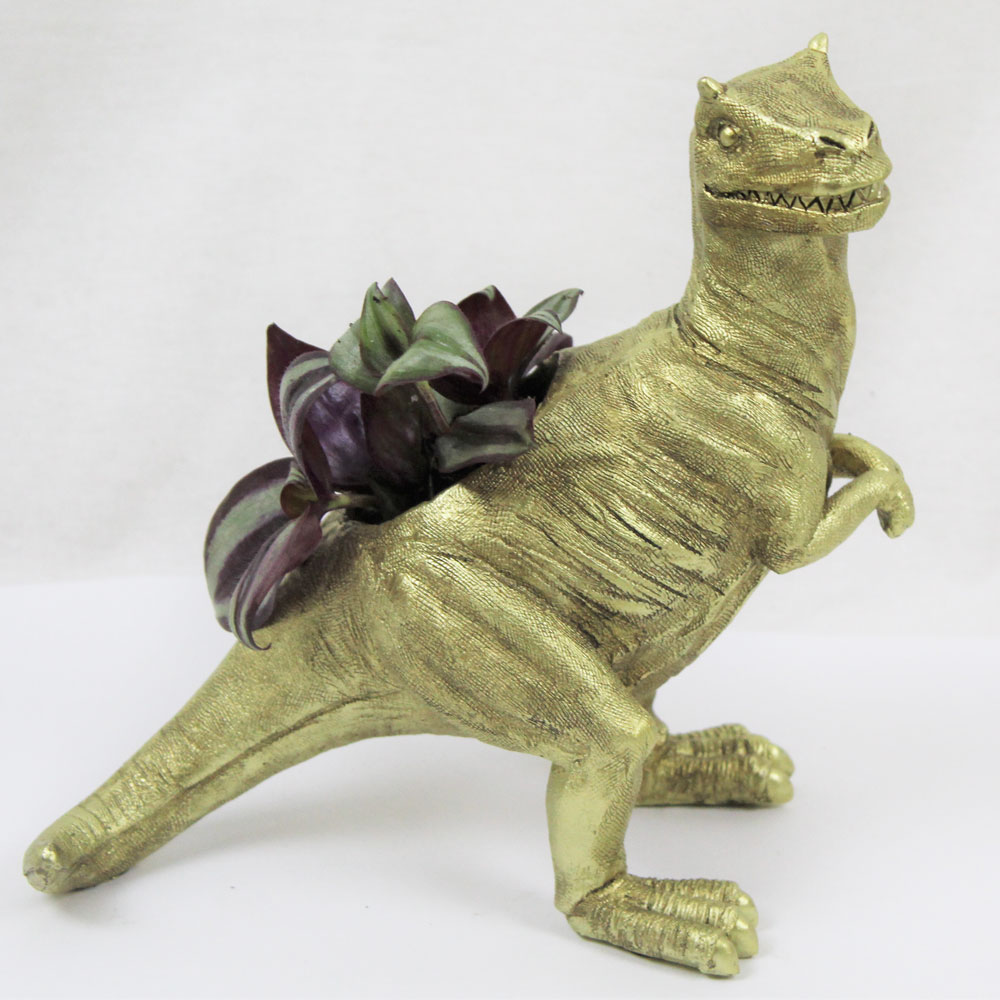 Value Morrisons house plants range you can't afford to miss in stores now Ideal Home