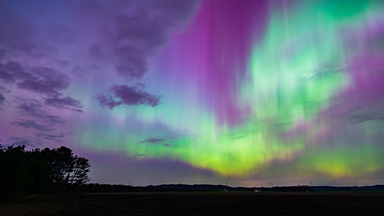 Auroras in the night sky