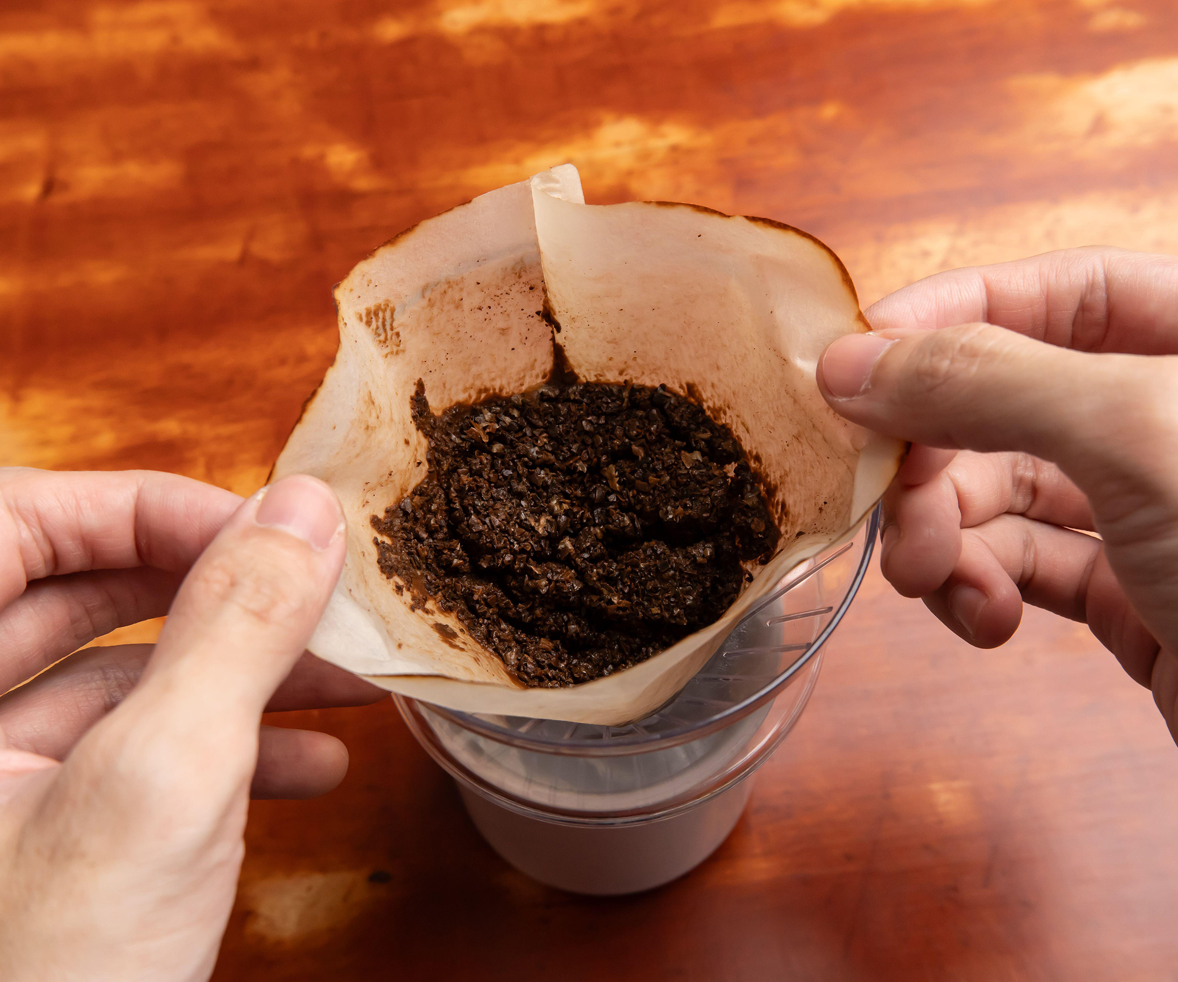 Do gardenias like coffee grounds? We ask the experts Homes & Gardens
