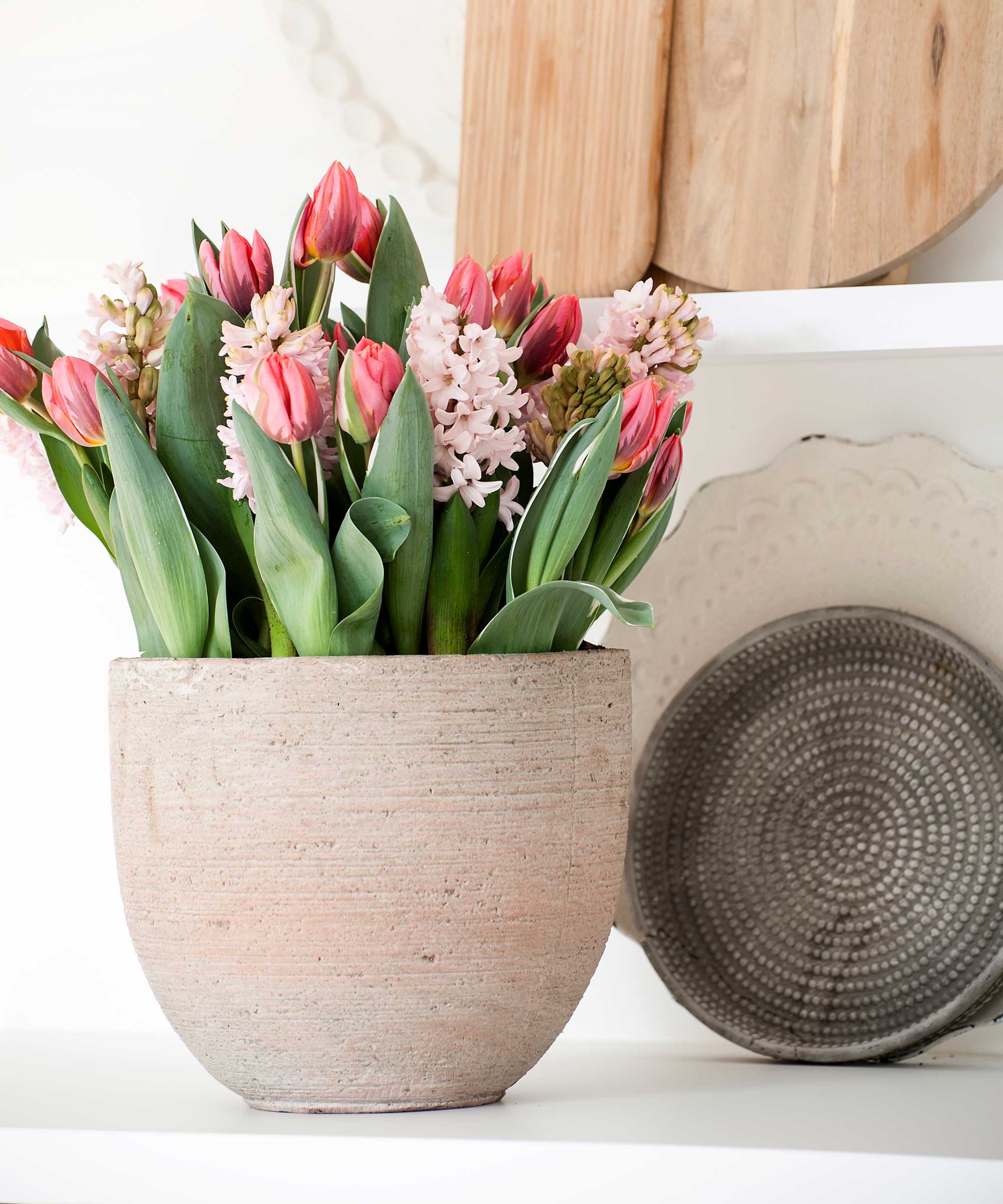 How to grow tulips indoors a stepbystep guide Homes & Gardens