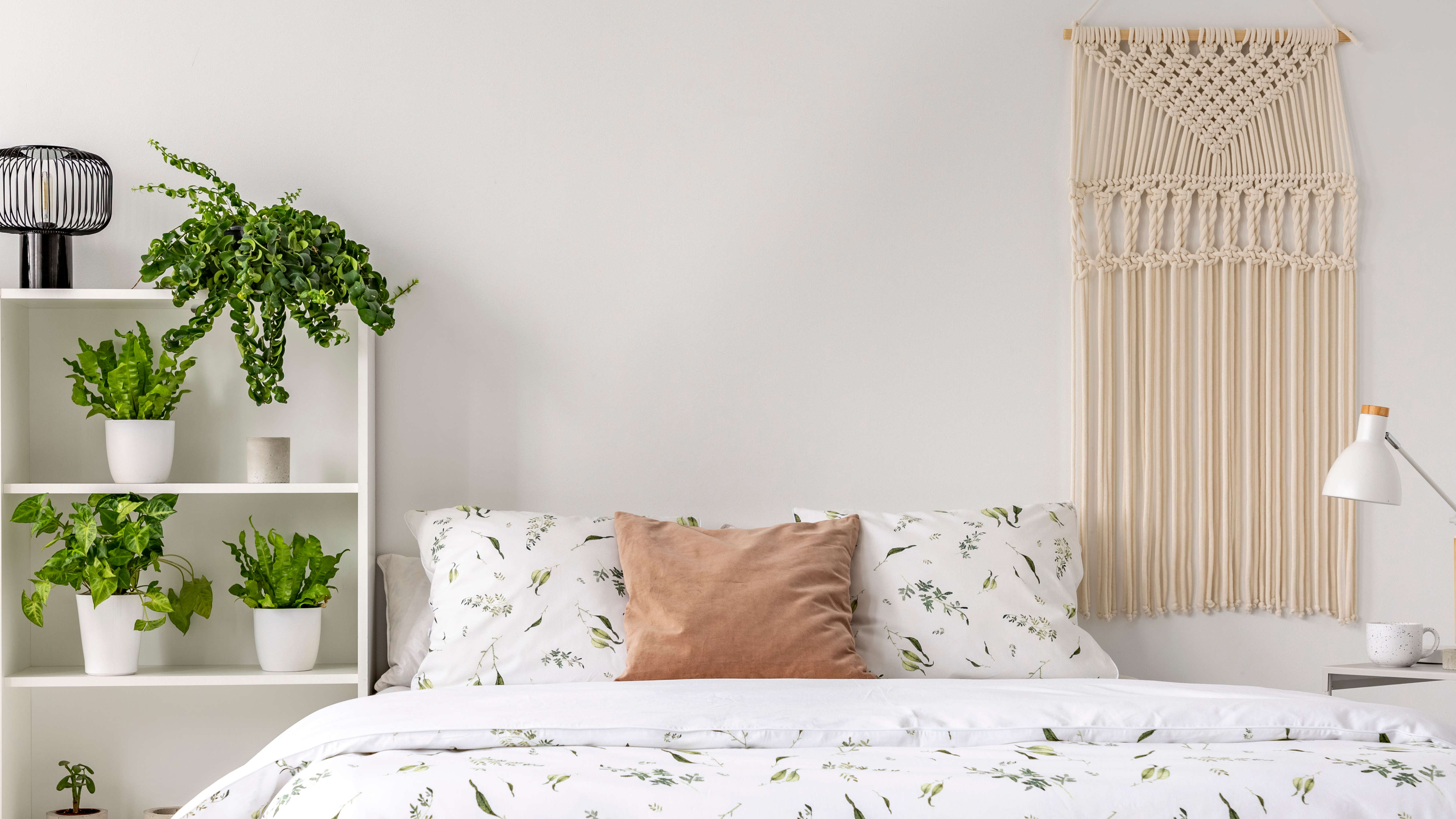 Where to find bed bugs in your home — check out these 9 places first