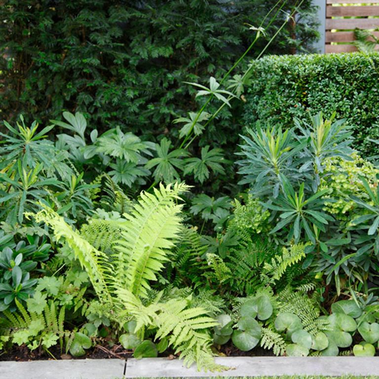 How to hide an ugly garden wall 5 expertapproved ideas to disguise a boundary wall or