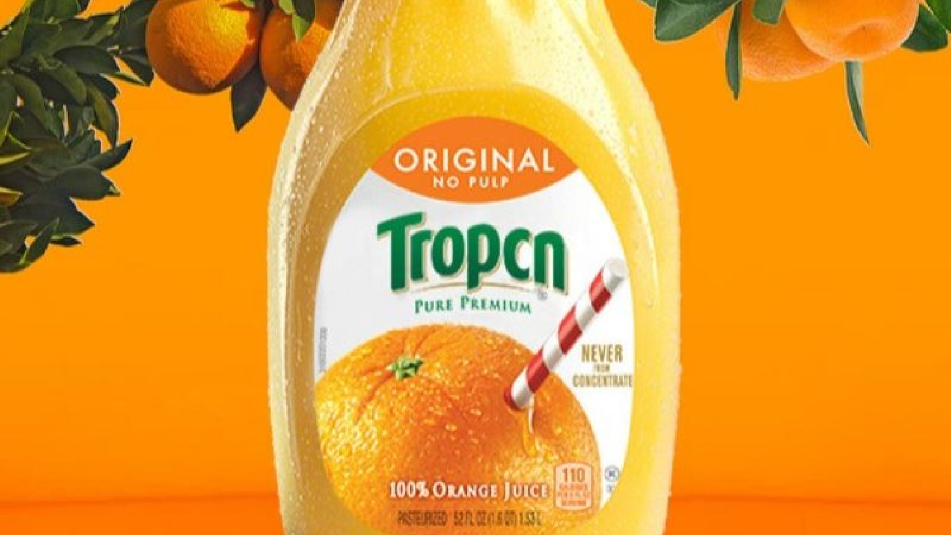 Tropicana rejects 'AI' to Tropcn