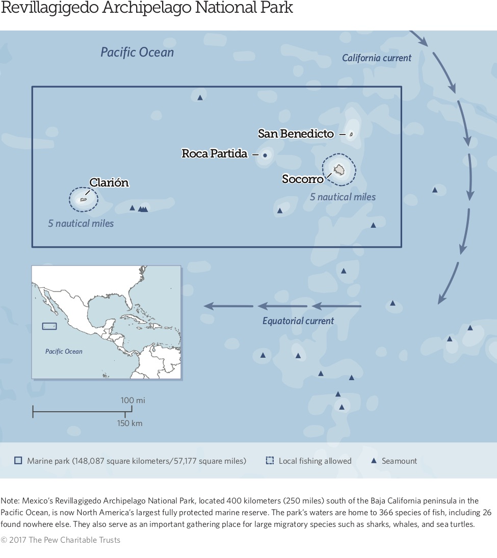 Marine Life in Mexico