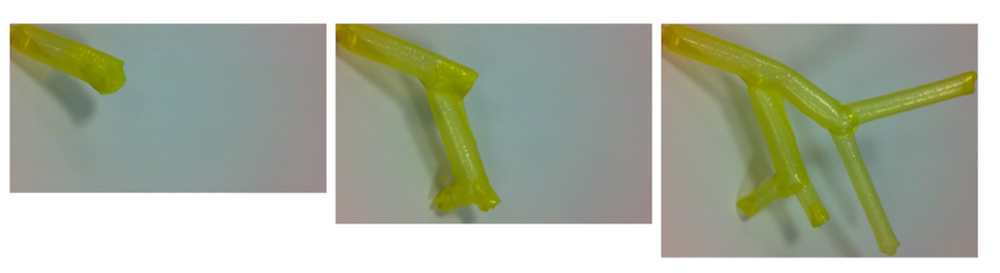 The vine-inspired robot can grow multiple branches at pre-programmed nodes.