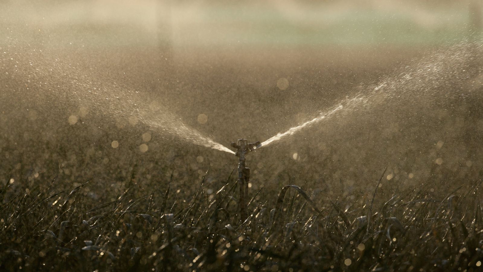 How to blow out a sprinkler system tips for cold weather