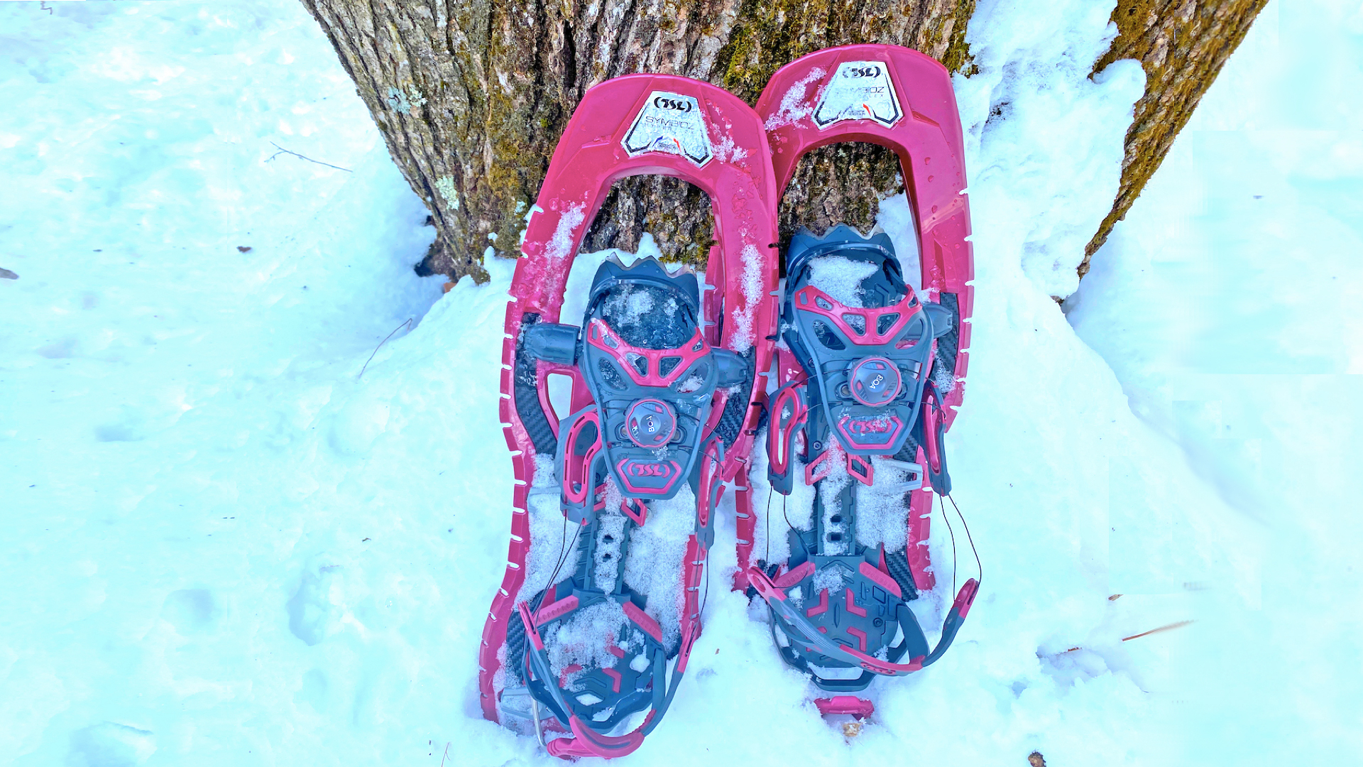 The best snowshoes 2024 tested by experts Advnture