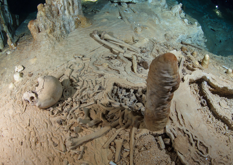 A prehistoric human skeleton in the Chan Hol Cave near Tulúm on Mexico�s Yucatán peninsula.