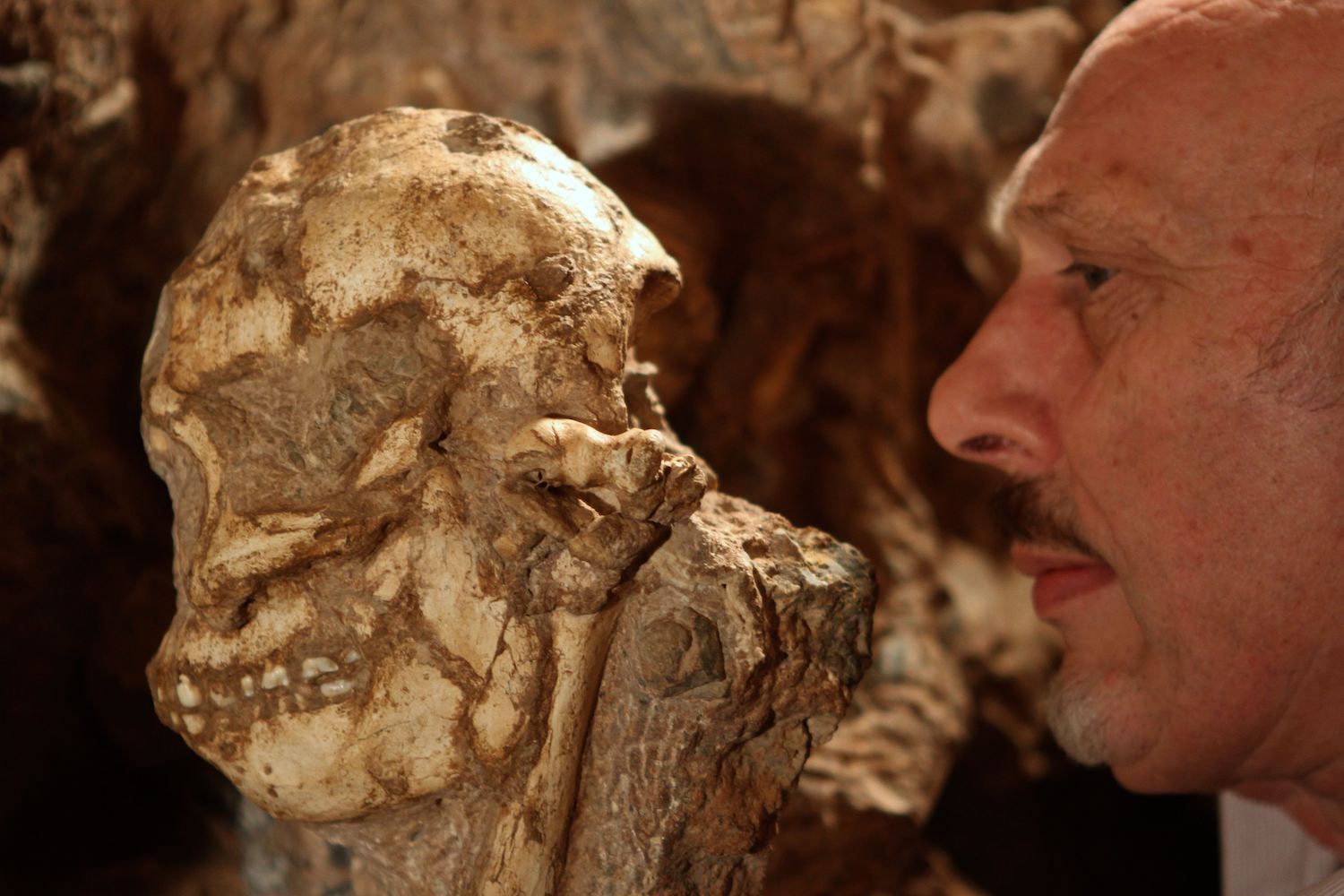 Researchers found Little Foot&rsquo;s remains in a South African cave.