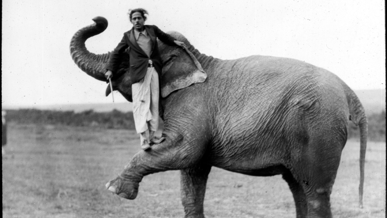 Man stands on elephant&rsquo;s leg