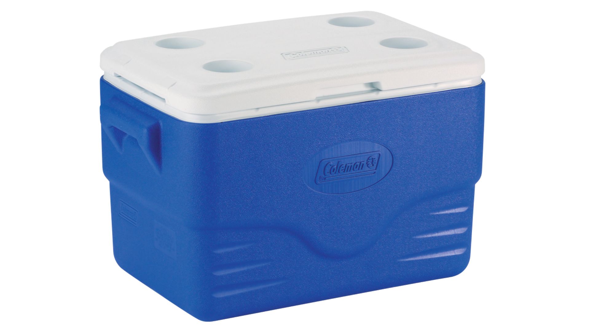 The best camping coolers 2024 keep food and drinks delightfully chilled Advnture