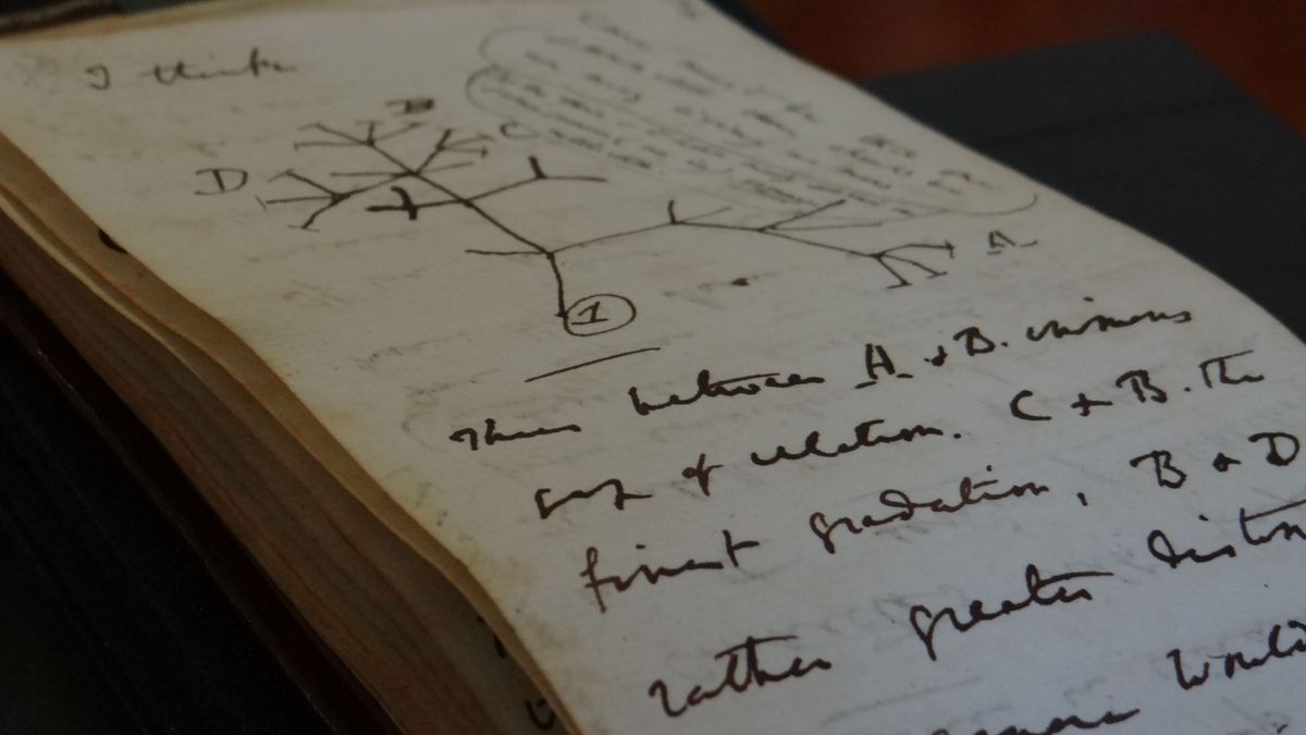 Charles Darwin's stolen 'tree of life' notebooks returned after 20