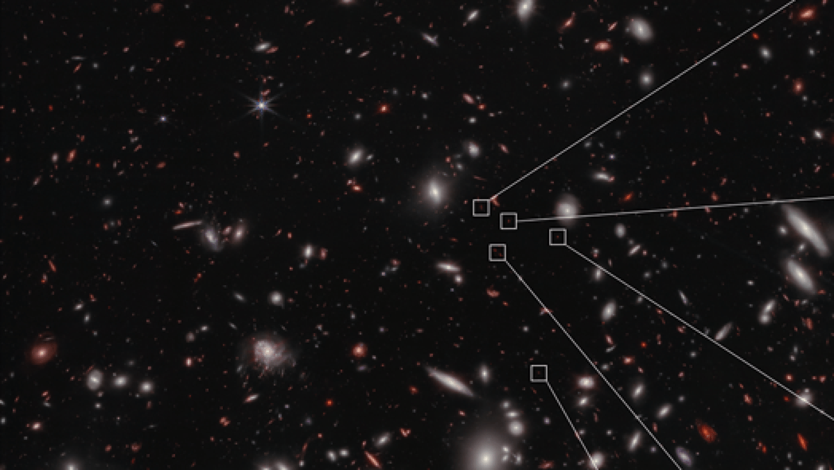 James b Space Telescope spots huge galactic protocluster in the