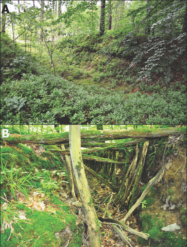 Cold War nuclear bases