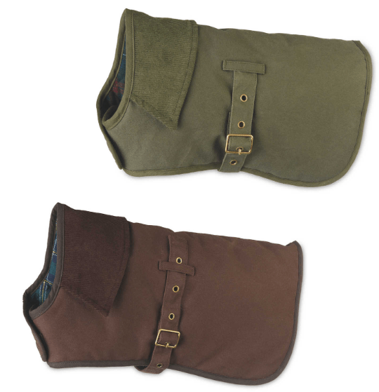 Aldi Is Selling A Very Chic Range Of Dog Jackets For Your Pet Pooch