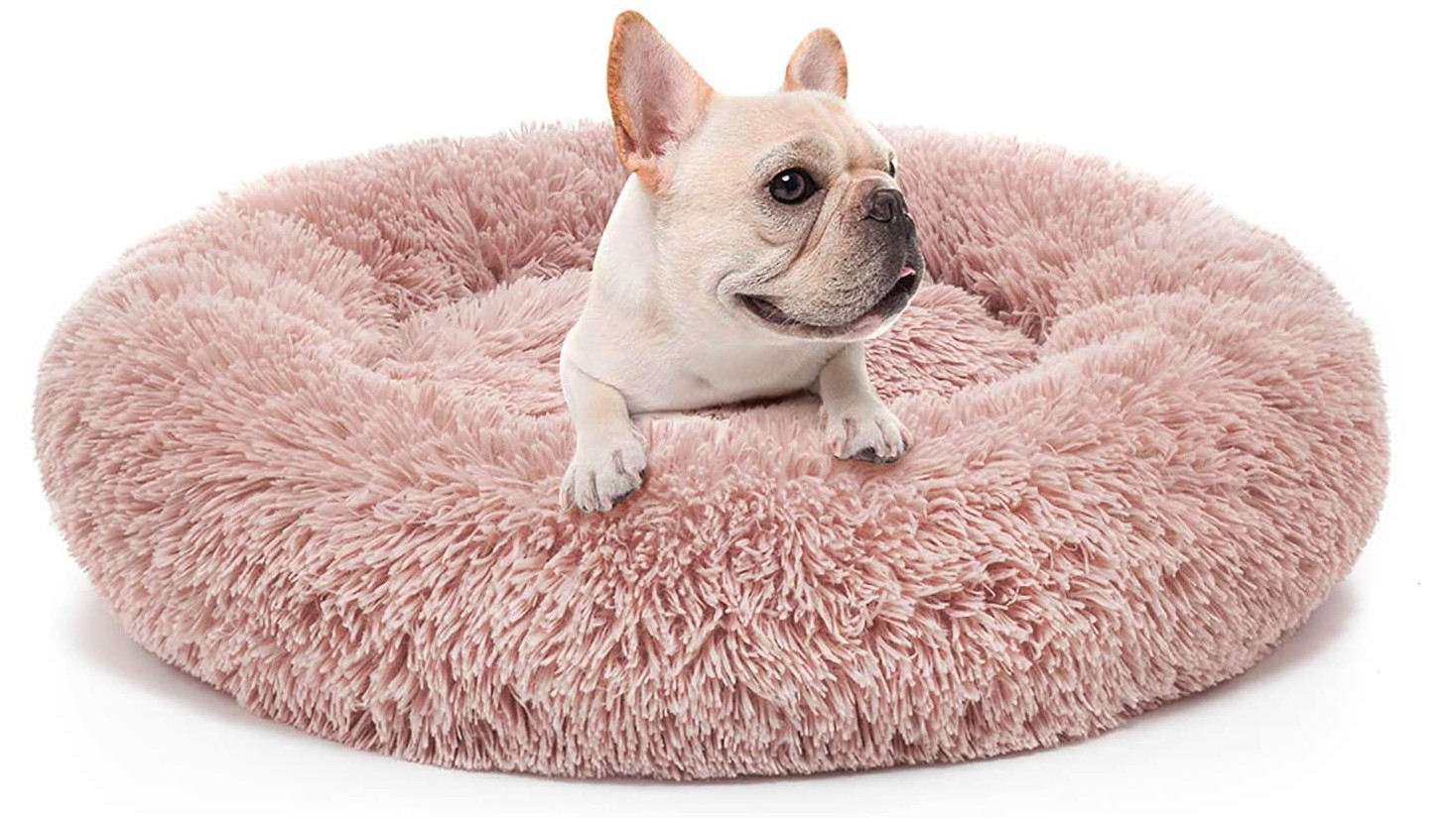 Best calming dog beds 2024 to help anxious canines relax PetsRadar