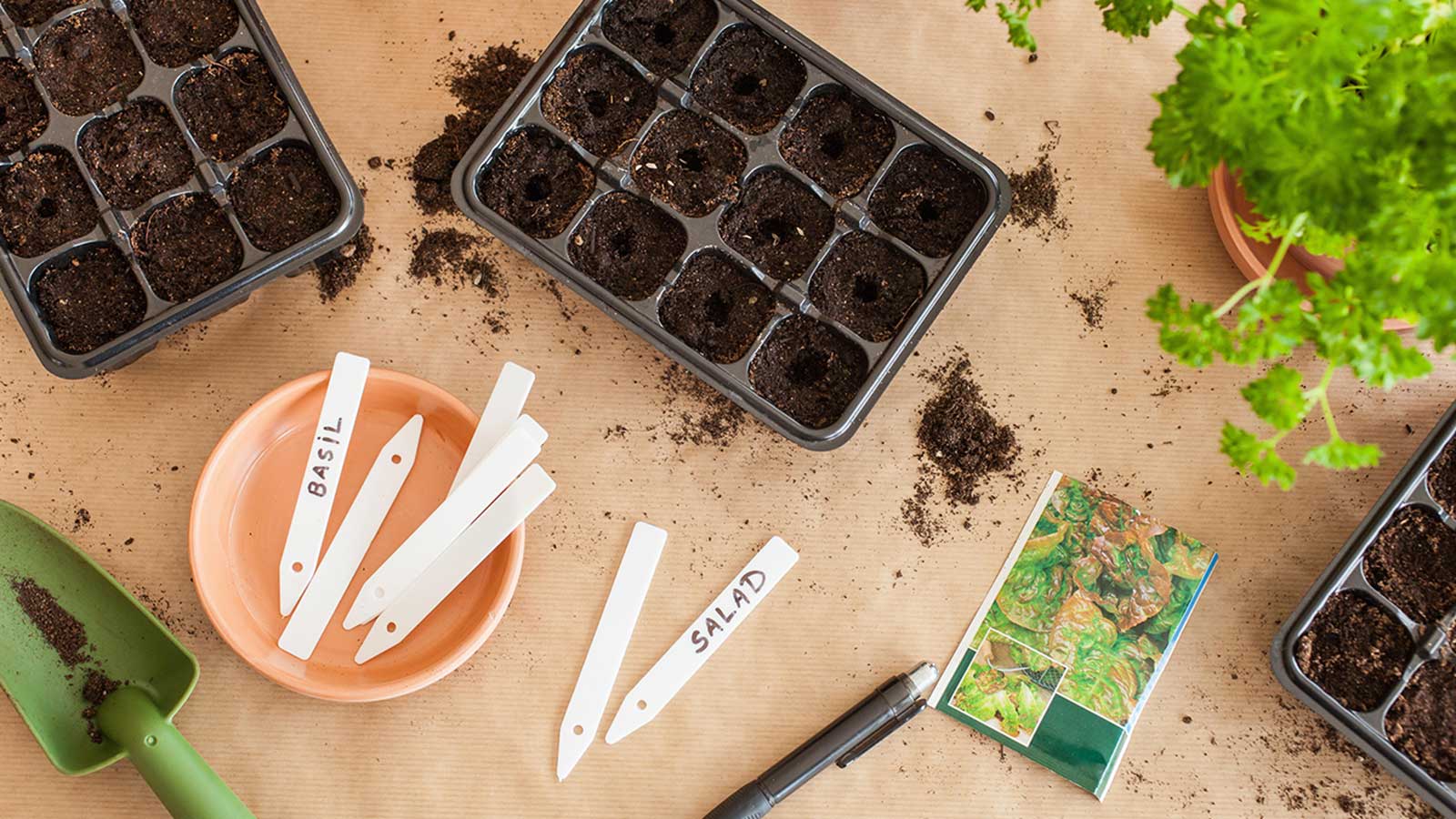 The best soil to start seeds experts reveal Homes & Gardens