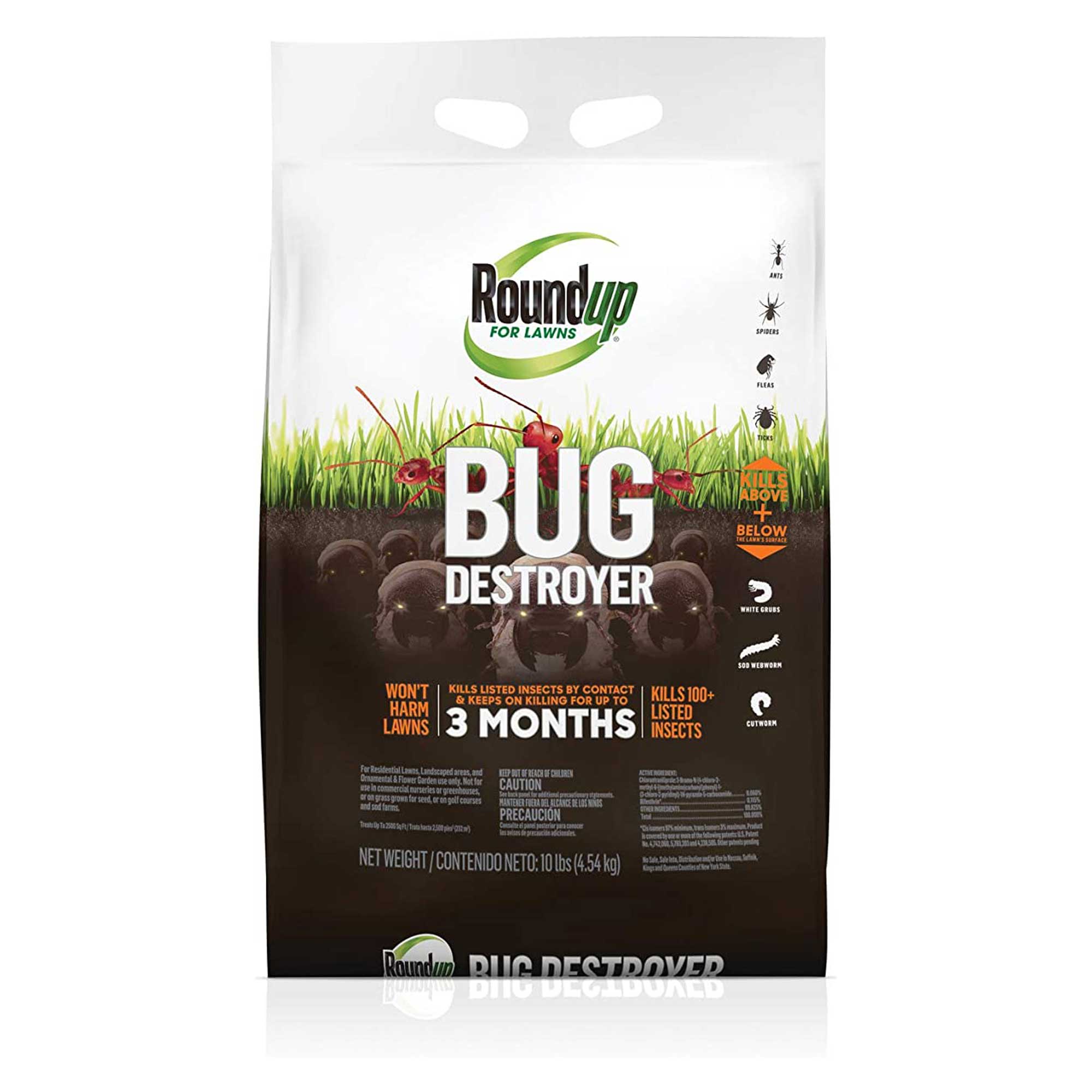 How to get rid of lawn grubs naturally protect your turf Gardeningetc