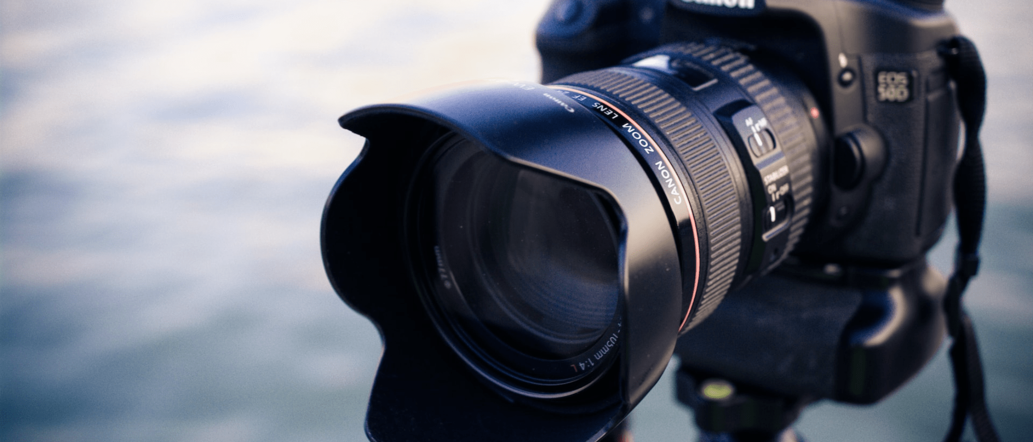 What's the difference between copyrightfree and royaltyfree stock