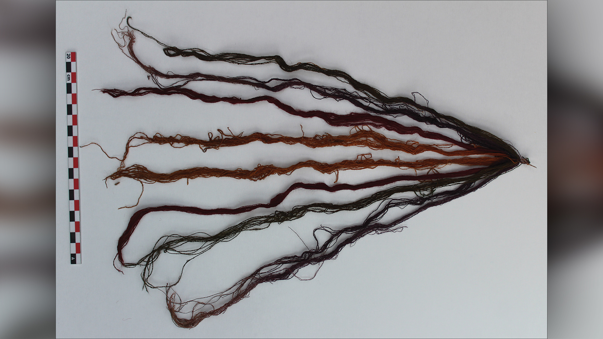 These colorful strings were attached to the ear of one of the white llamas.