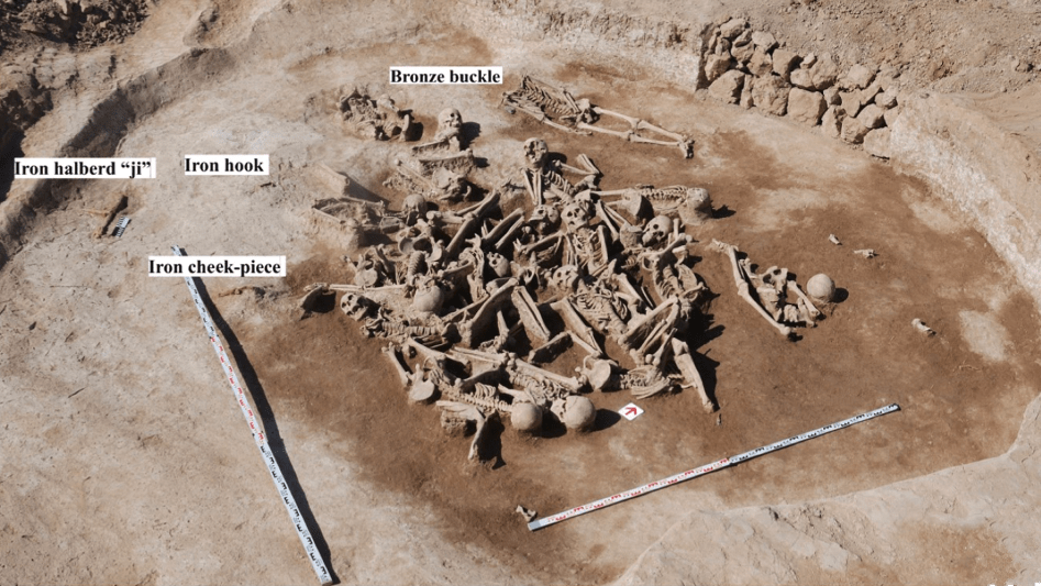 Bird&rsquo;s-eye-view of the excavation of a mass grave in Mongolia; dozens of skeletons of Han warriors are in the grave, along with several artifacts. Measuring sticks are placed in the foreground to show scale.