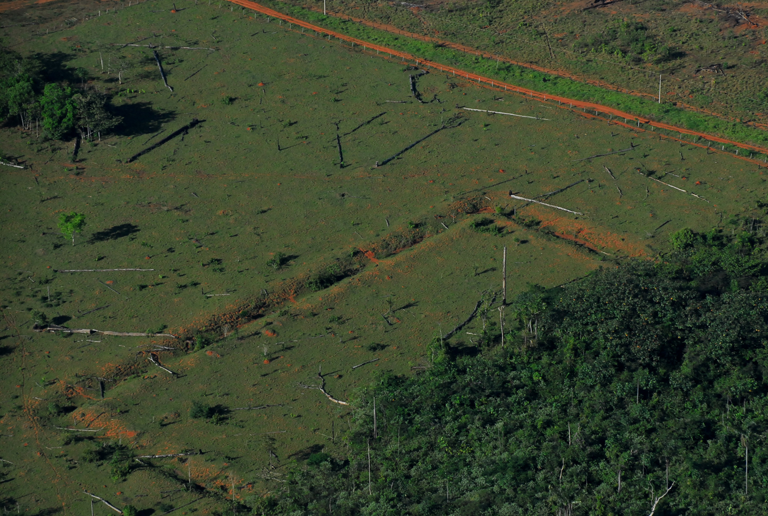 amazon geoglyphs