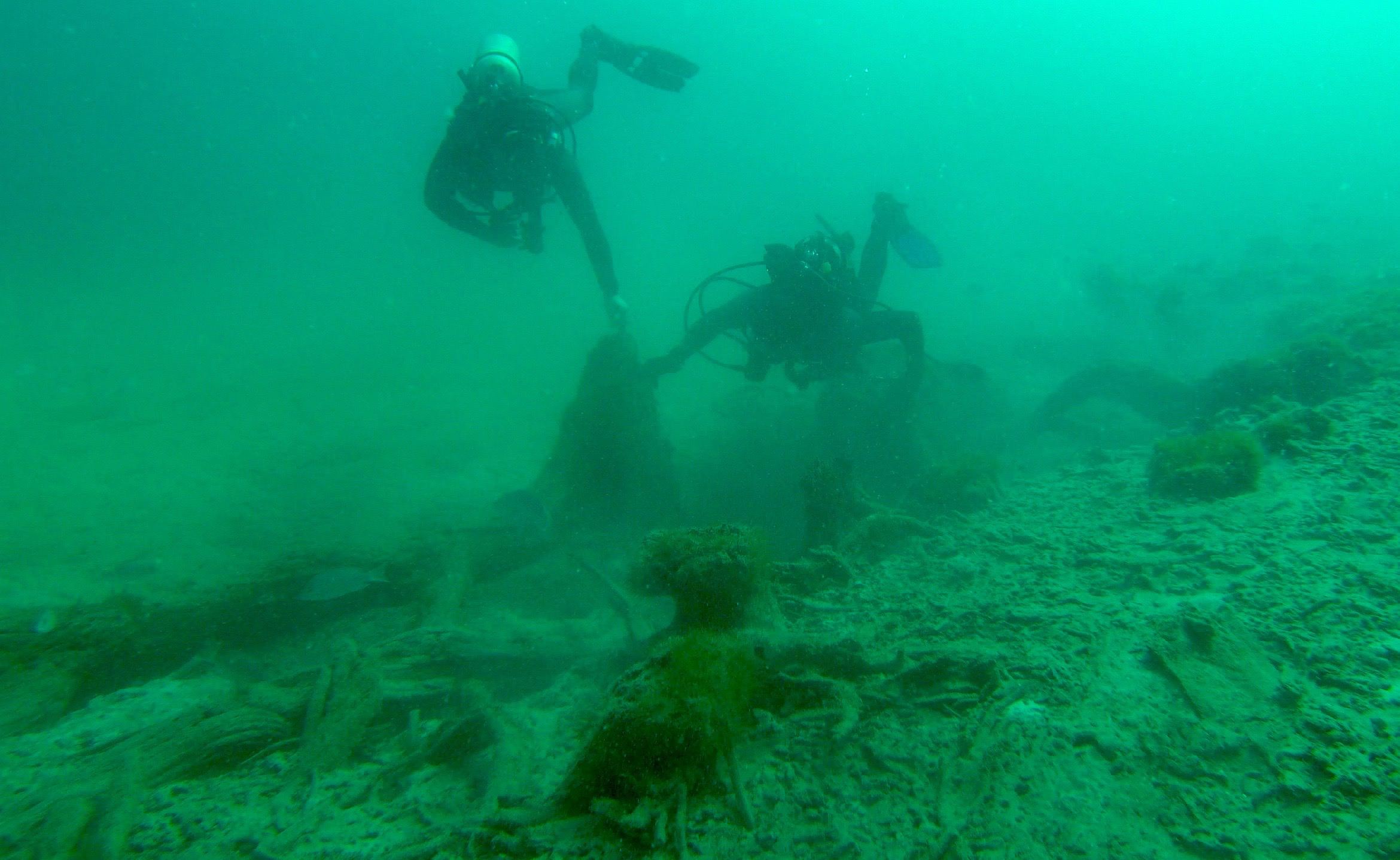 Primeval Underwater Forest