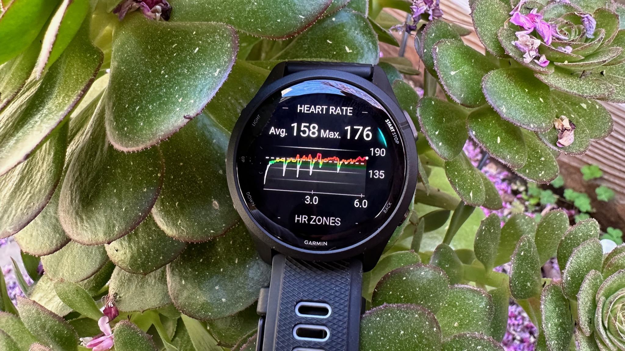 Best smartwatch for fitness 2023 Android Central