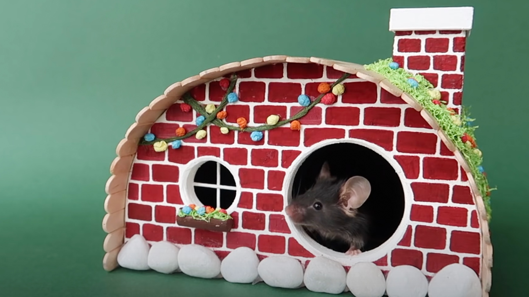 5 cool DIY hamster habitats your little pocket pet will love PetsRadar