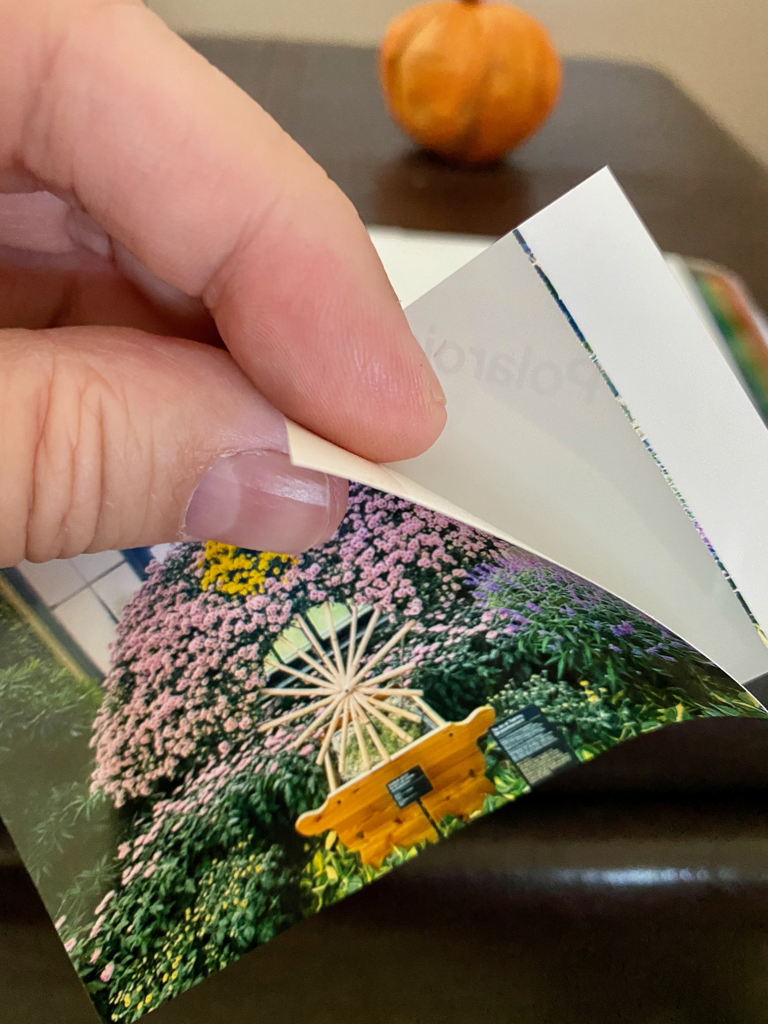 Polaroid Hi-Print review: Print your iPhone photos quickly and easily