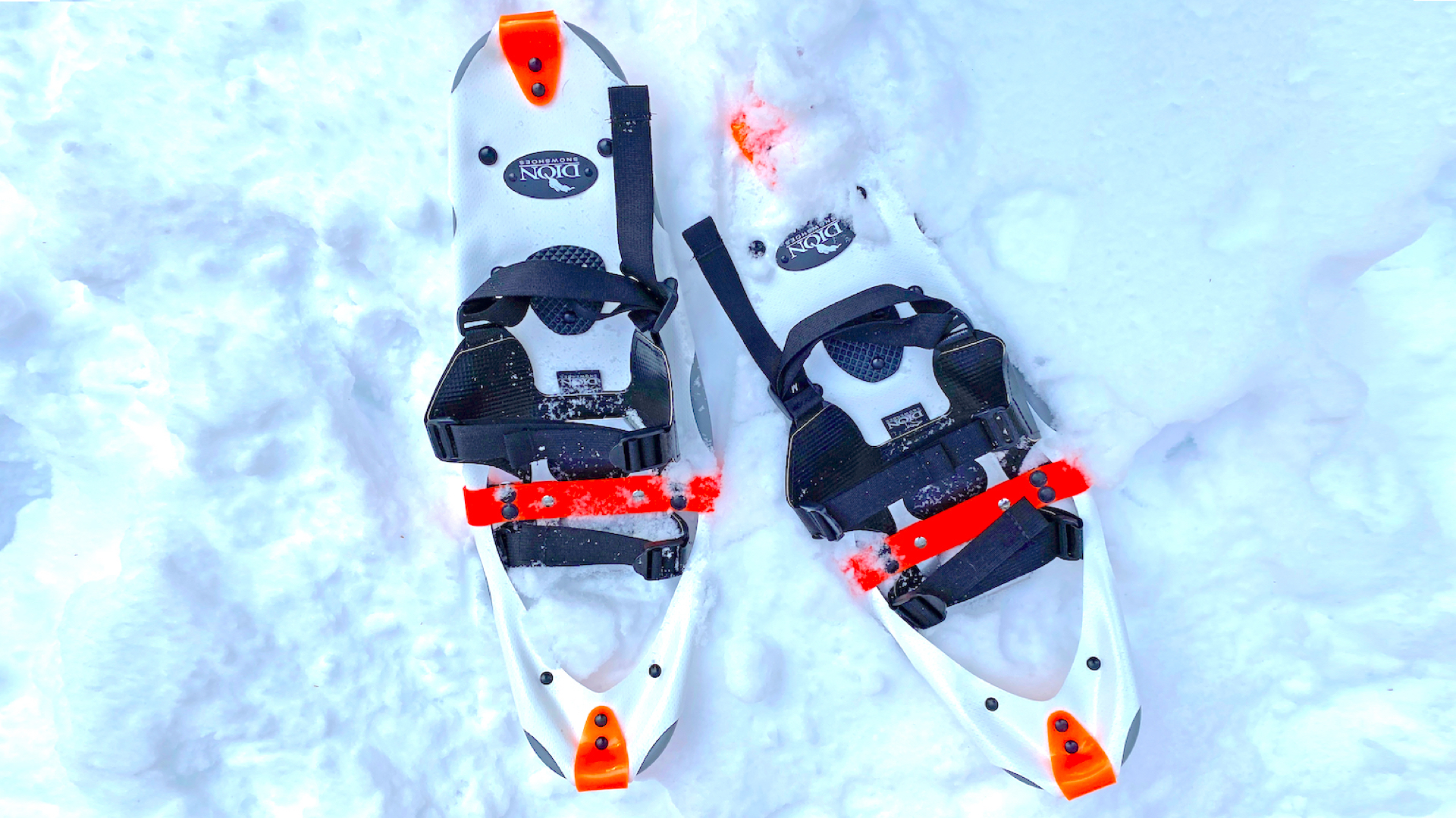 Dion Model 121 snowshoes review Advnture
