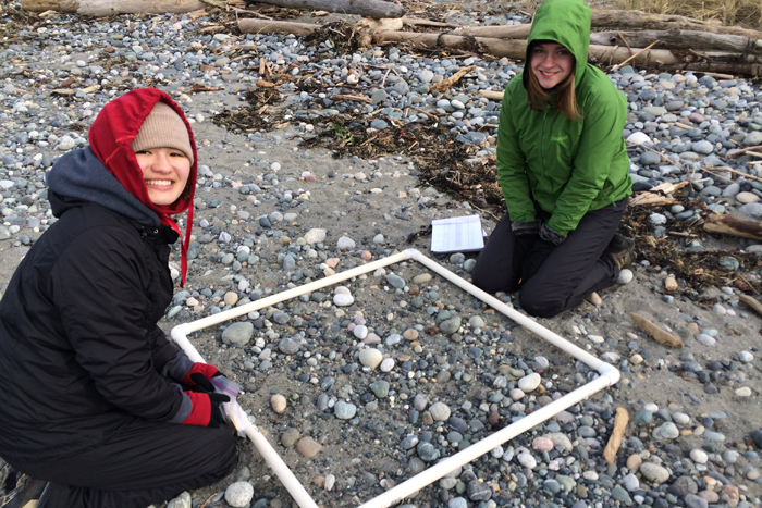 COASST interns look for small debris (less than 5cm) in a plot.