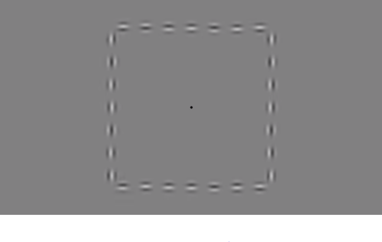 The 2016 Illusion of the Year gives a feeling of motion