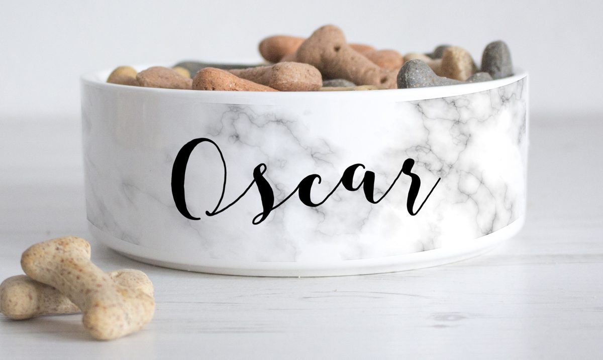 Lap it up 10 stylish pet bowls