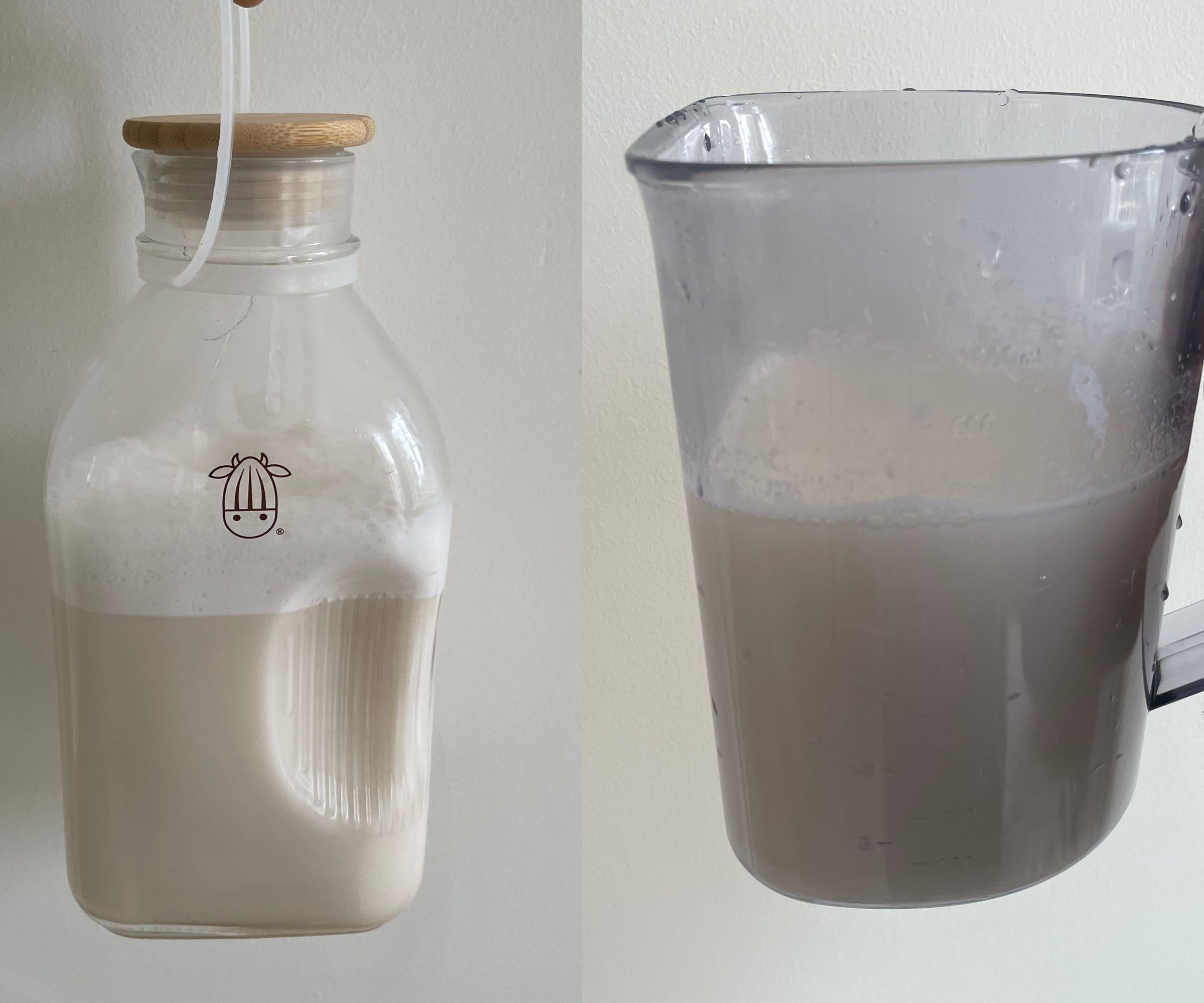 Almond Cow Milk Maker review a plantbased wonder