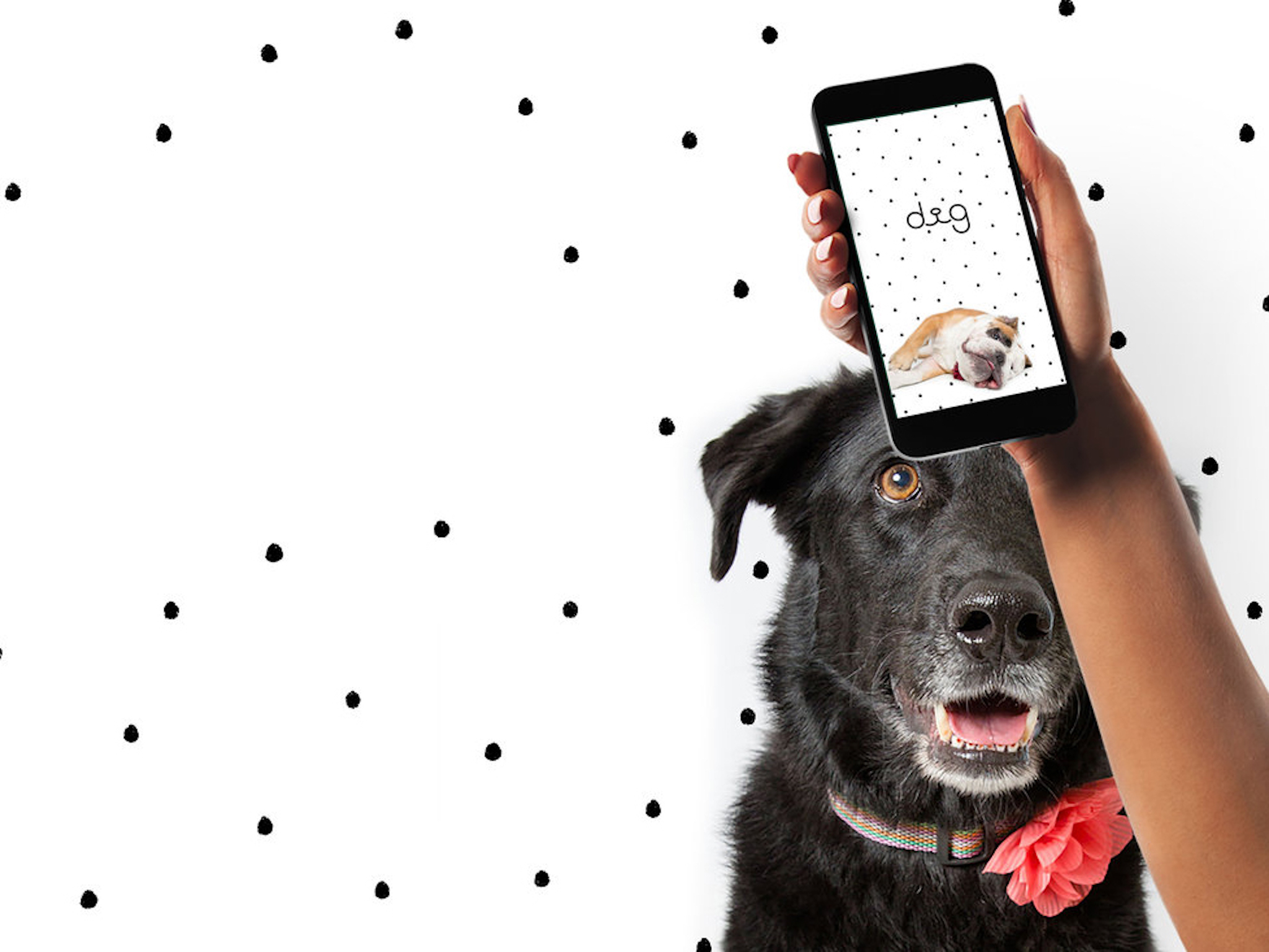 Find your perfect dogloving soulmate with the Dig dating app iMore