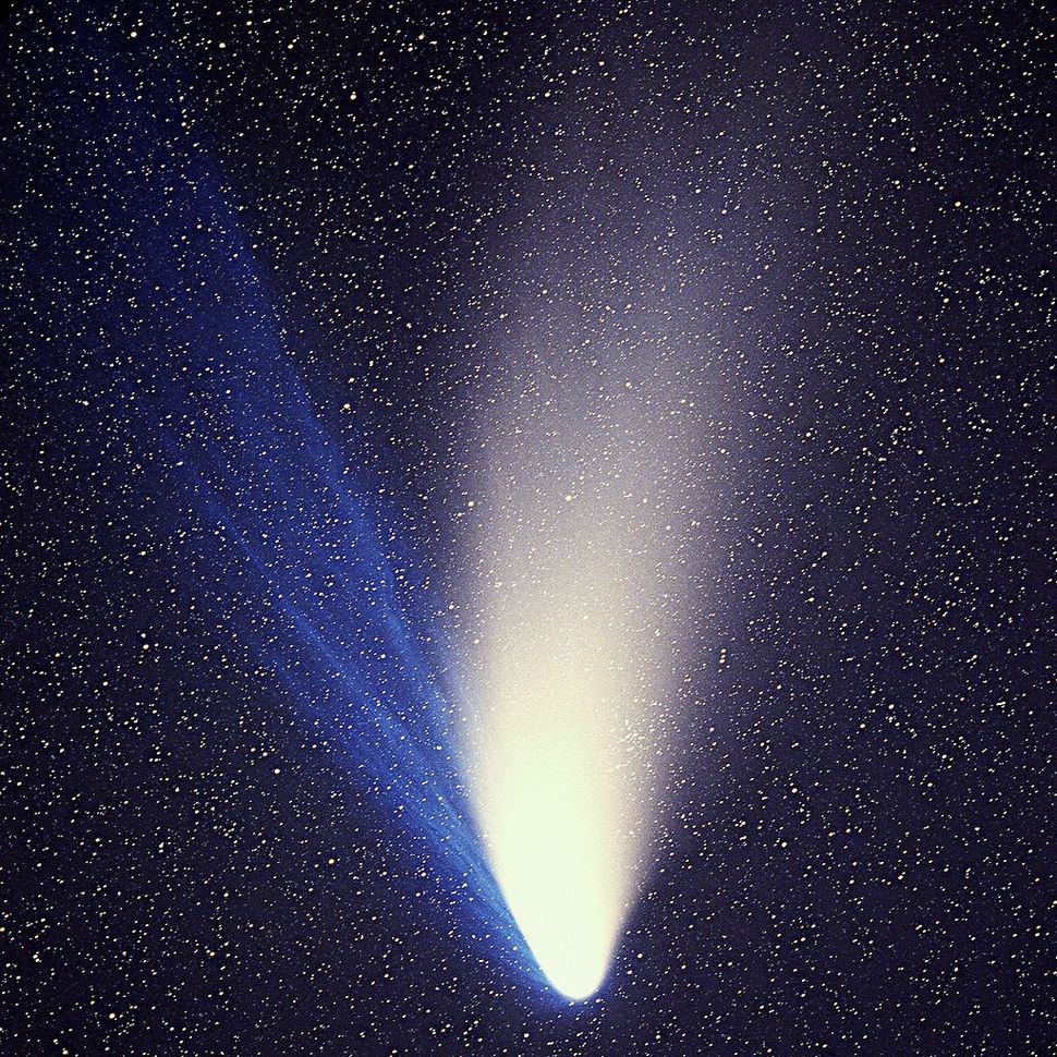 HaleBopp The Bright and Tragic Comet of the 1990s Space
