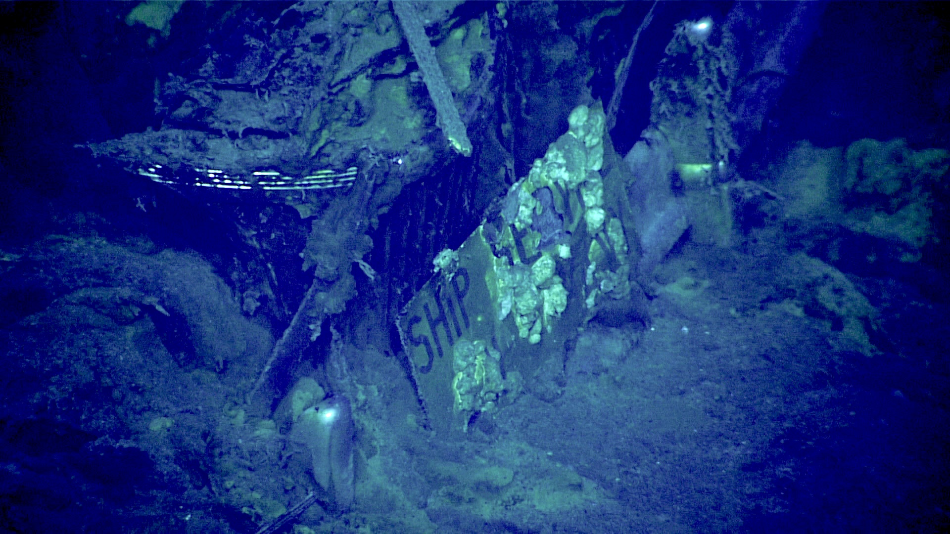 a close-up of a license plate of an old car underwater